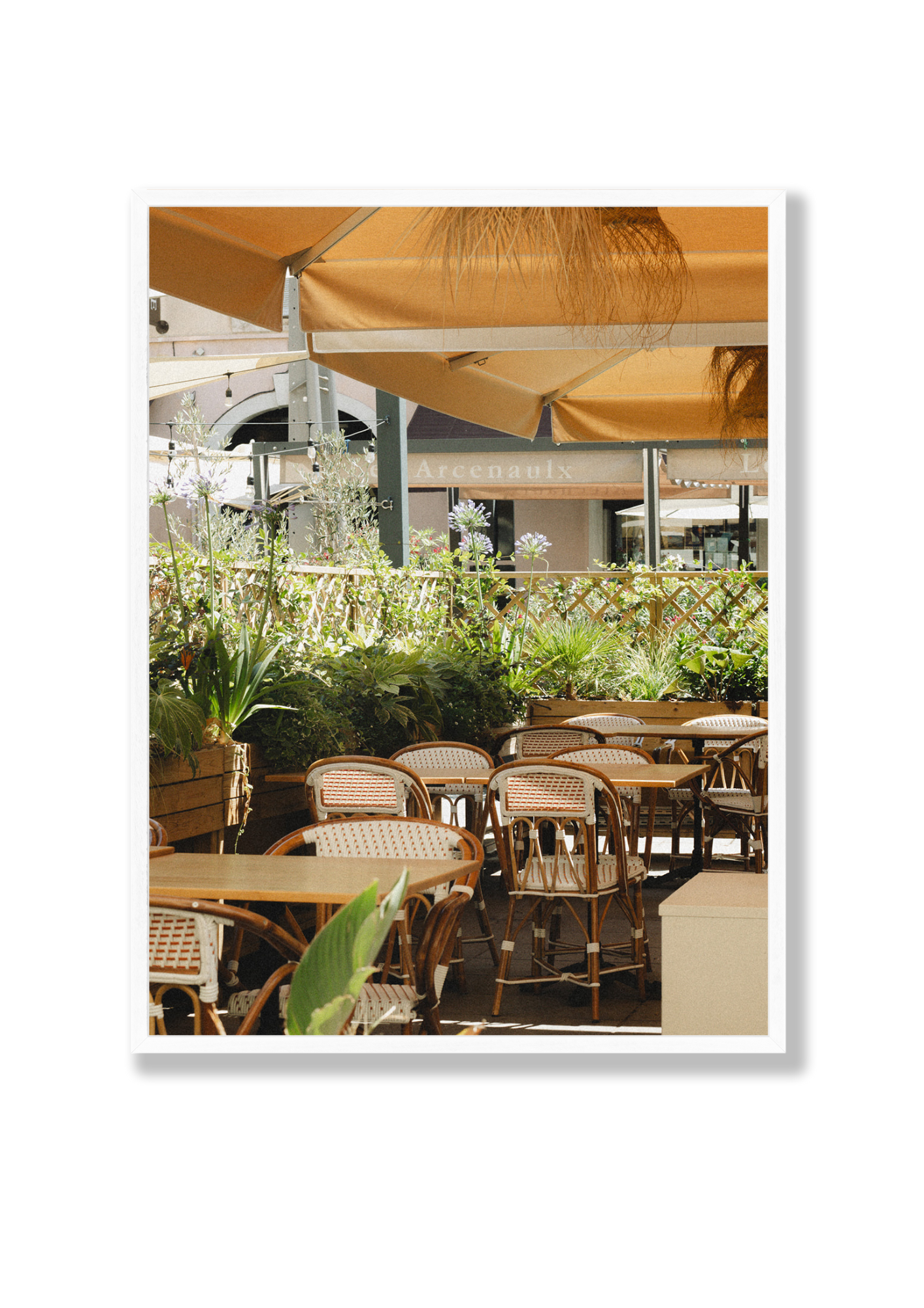 Cafe