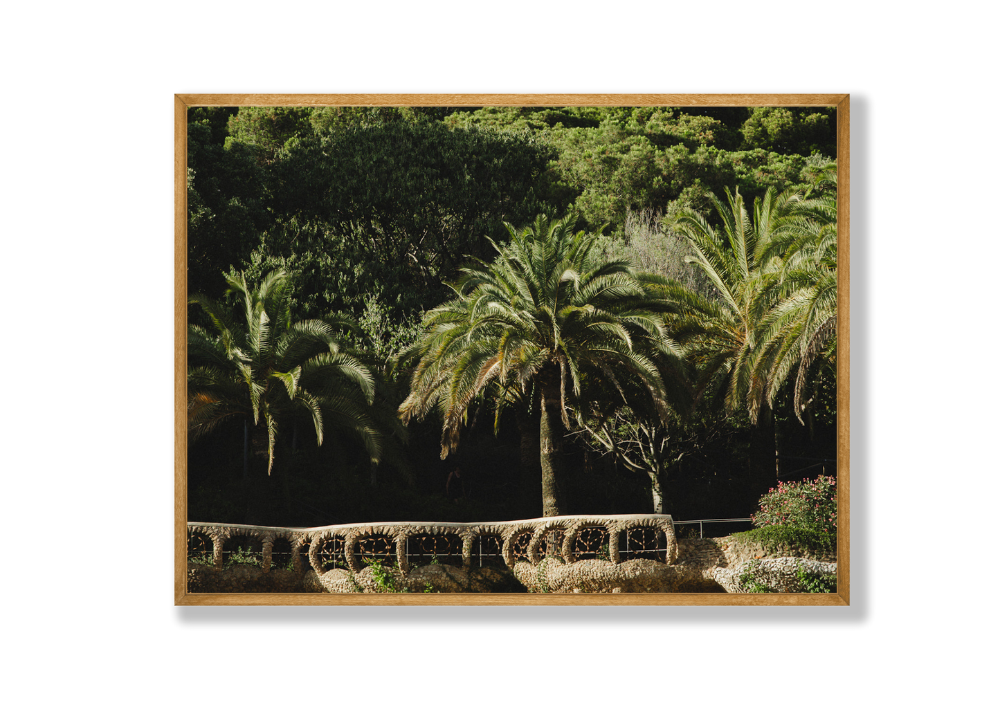 Park Guell II