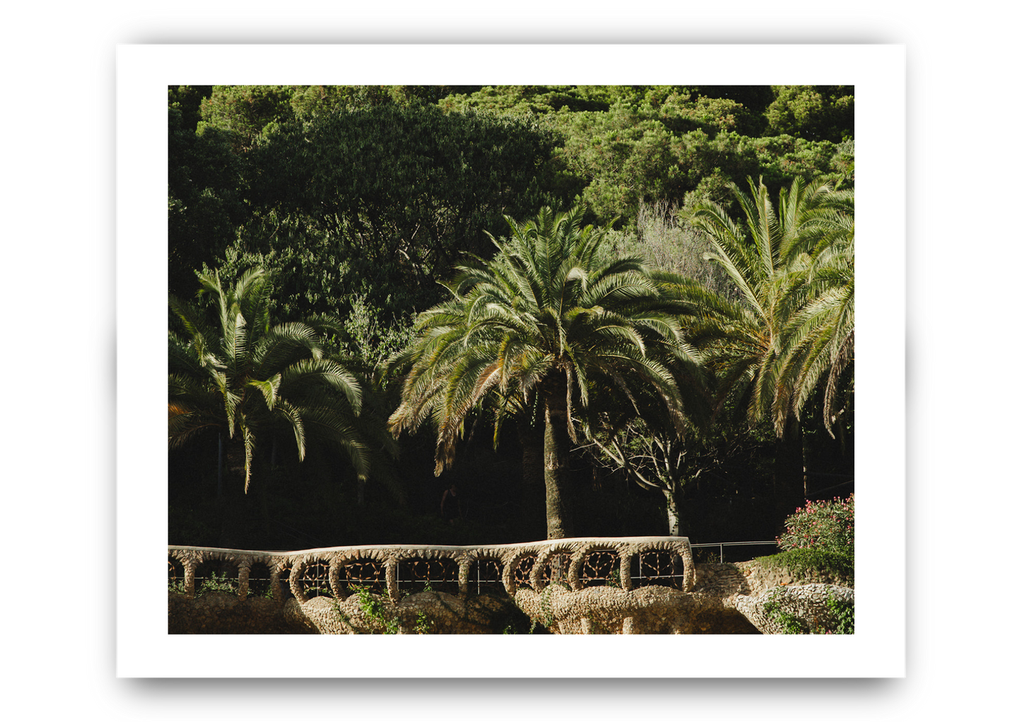 Park Guell II