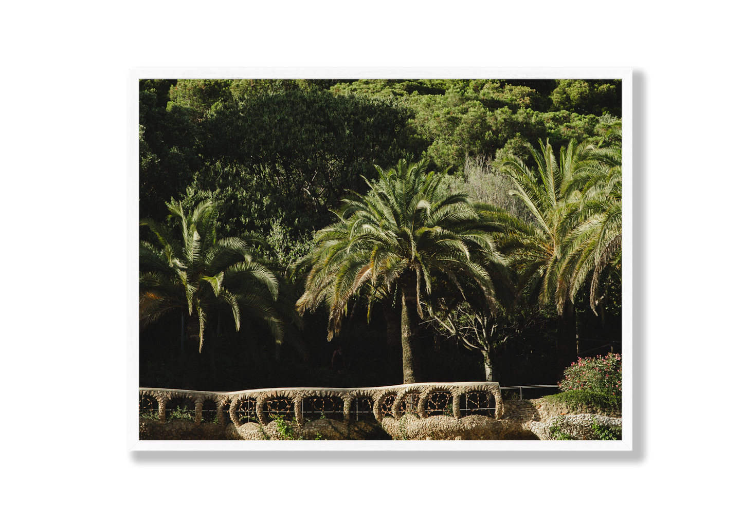 Park Guell II