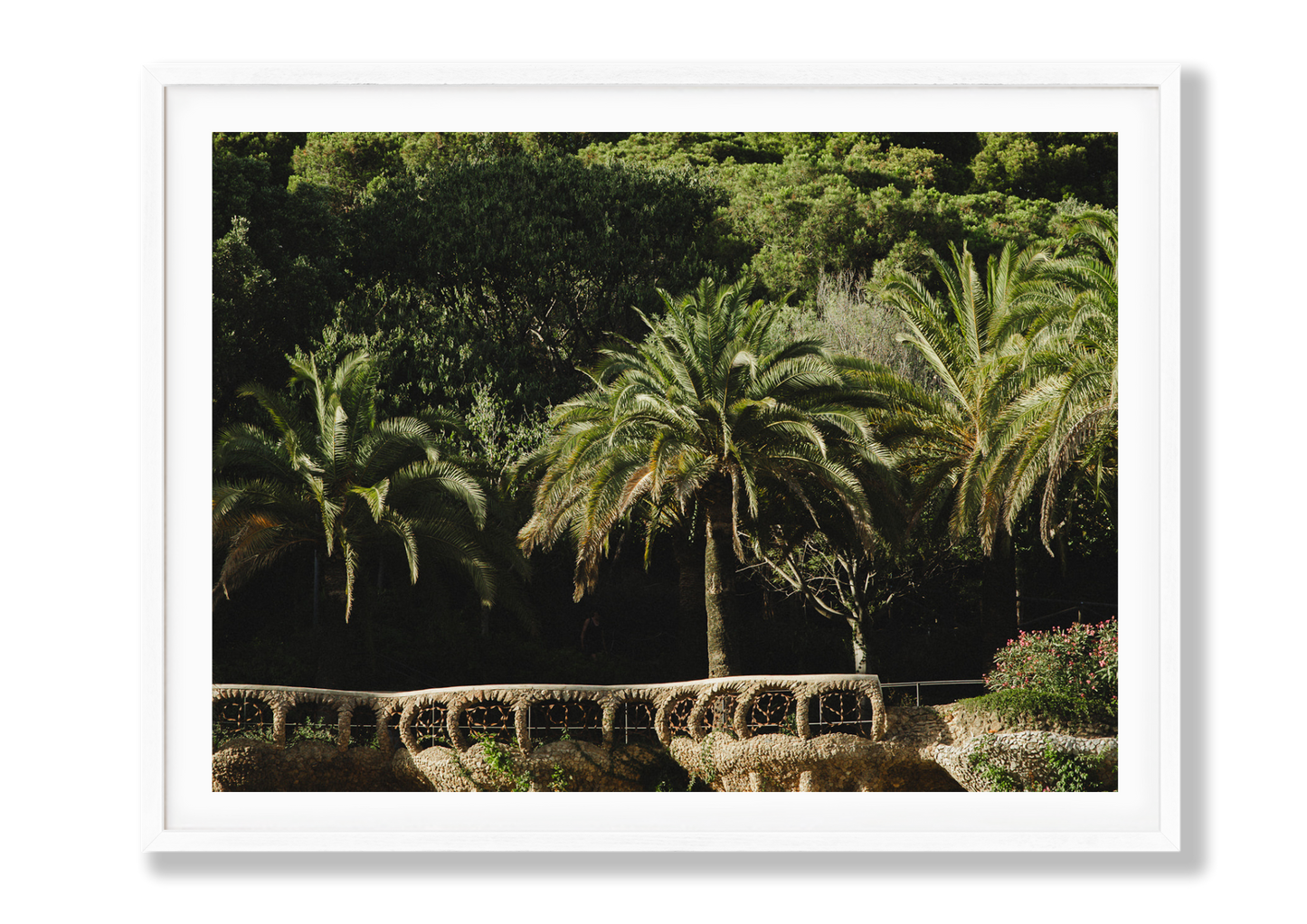 Park Guell II