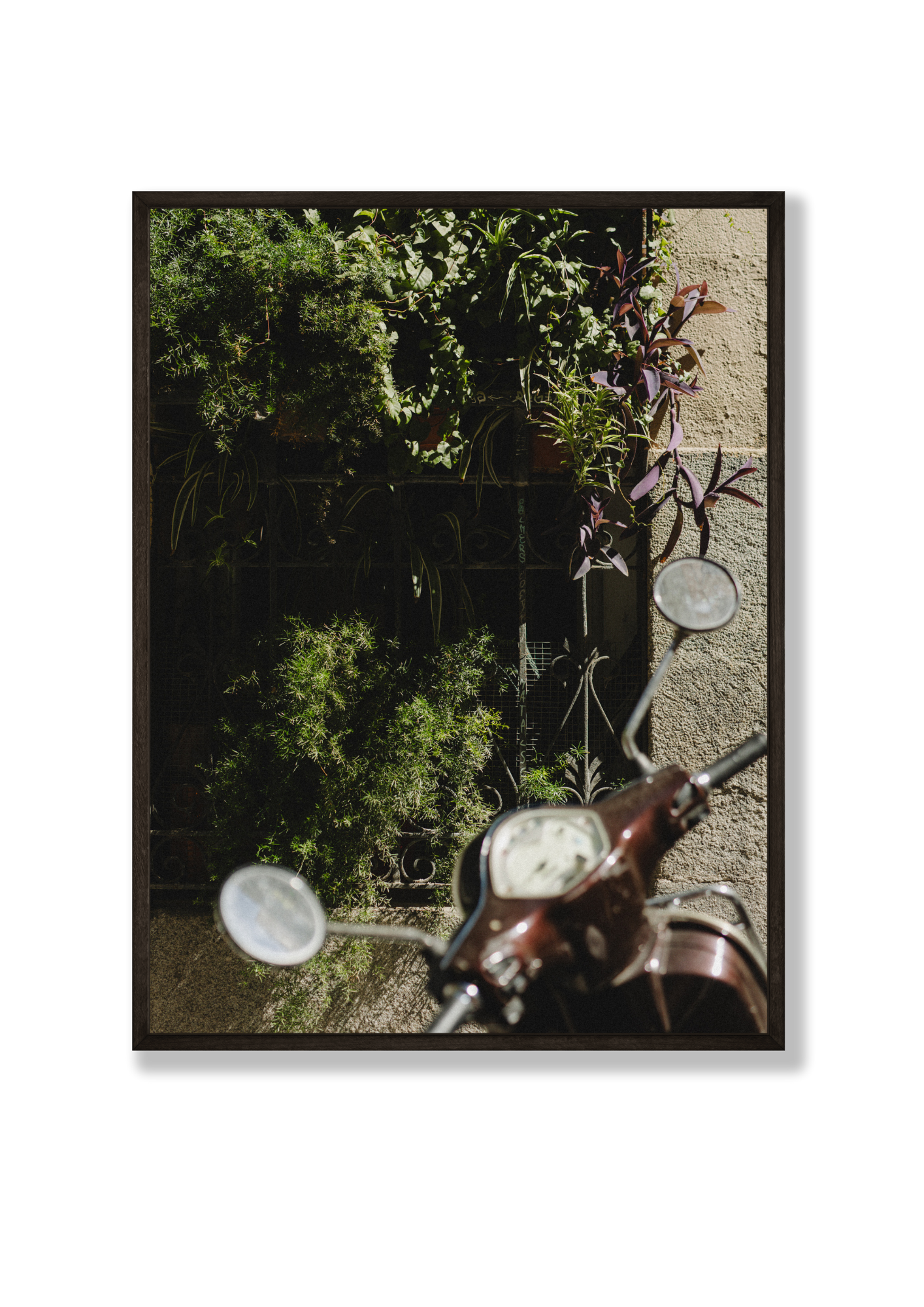 Plant Bike