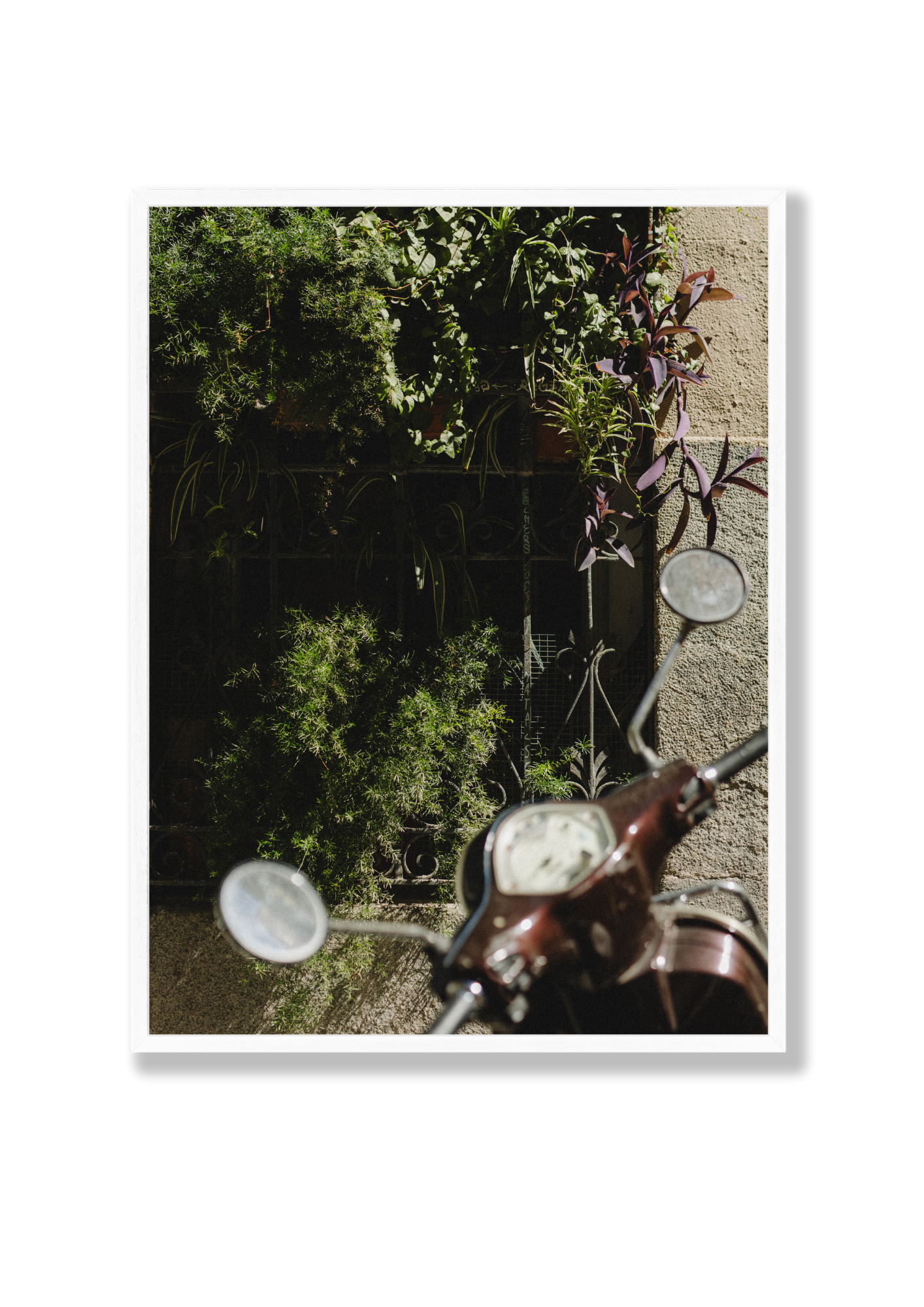 Plant Bike