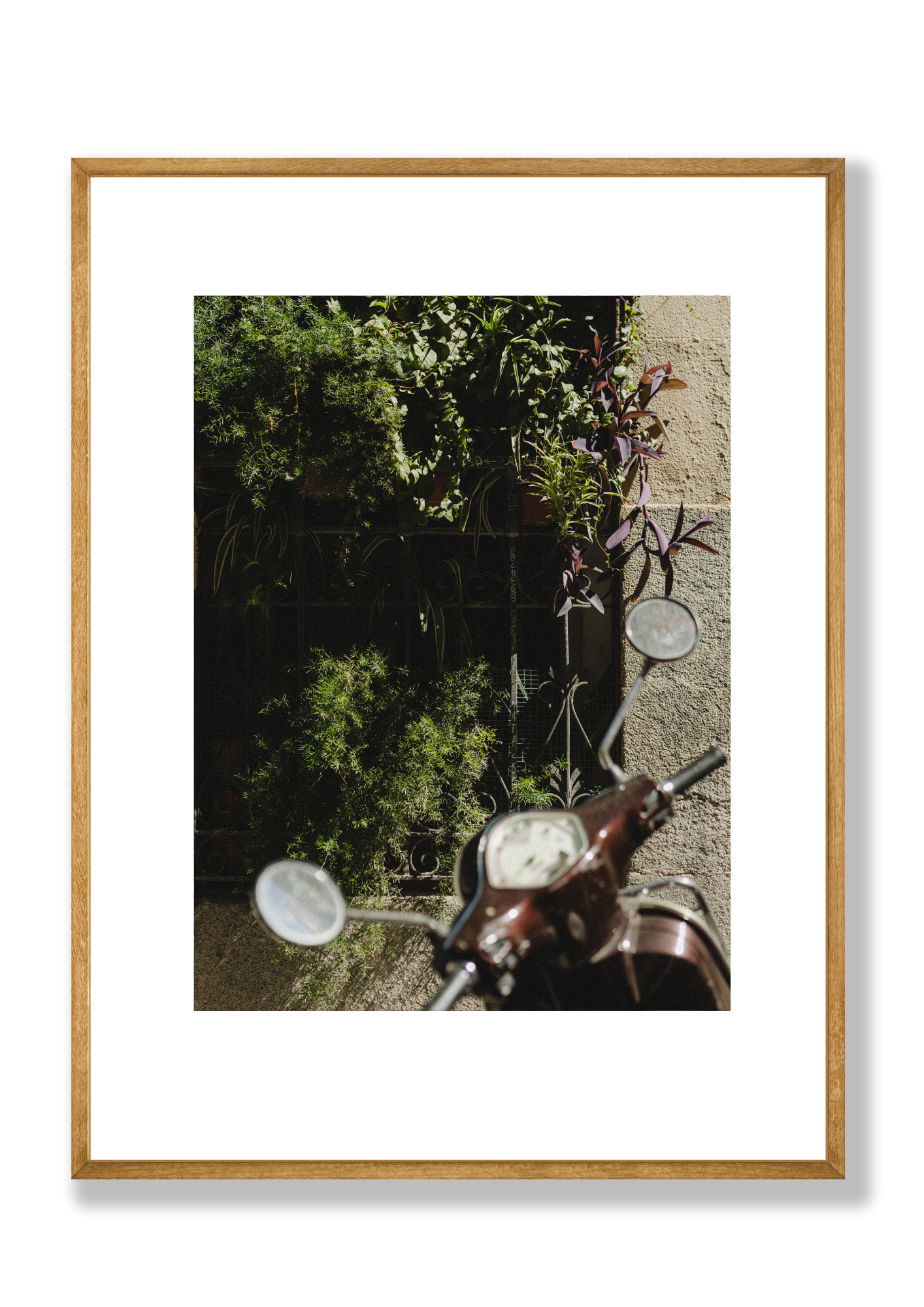 Plant Bike