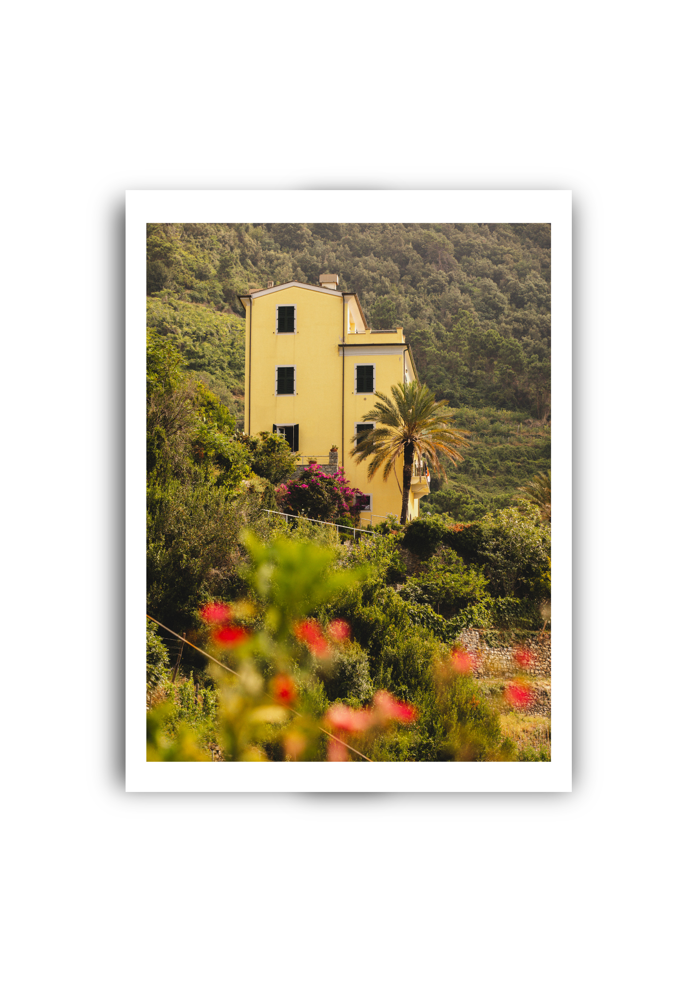 Casa Gialla