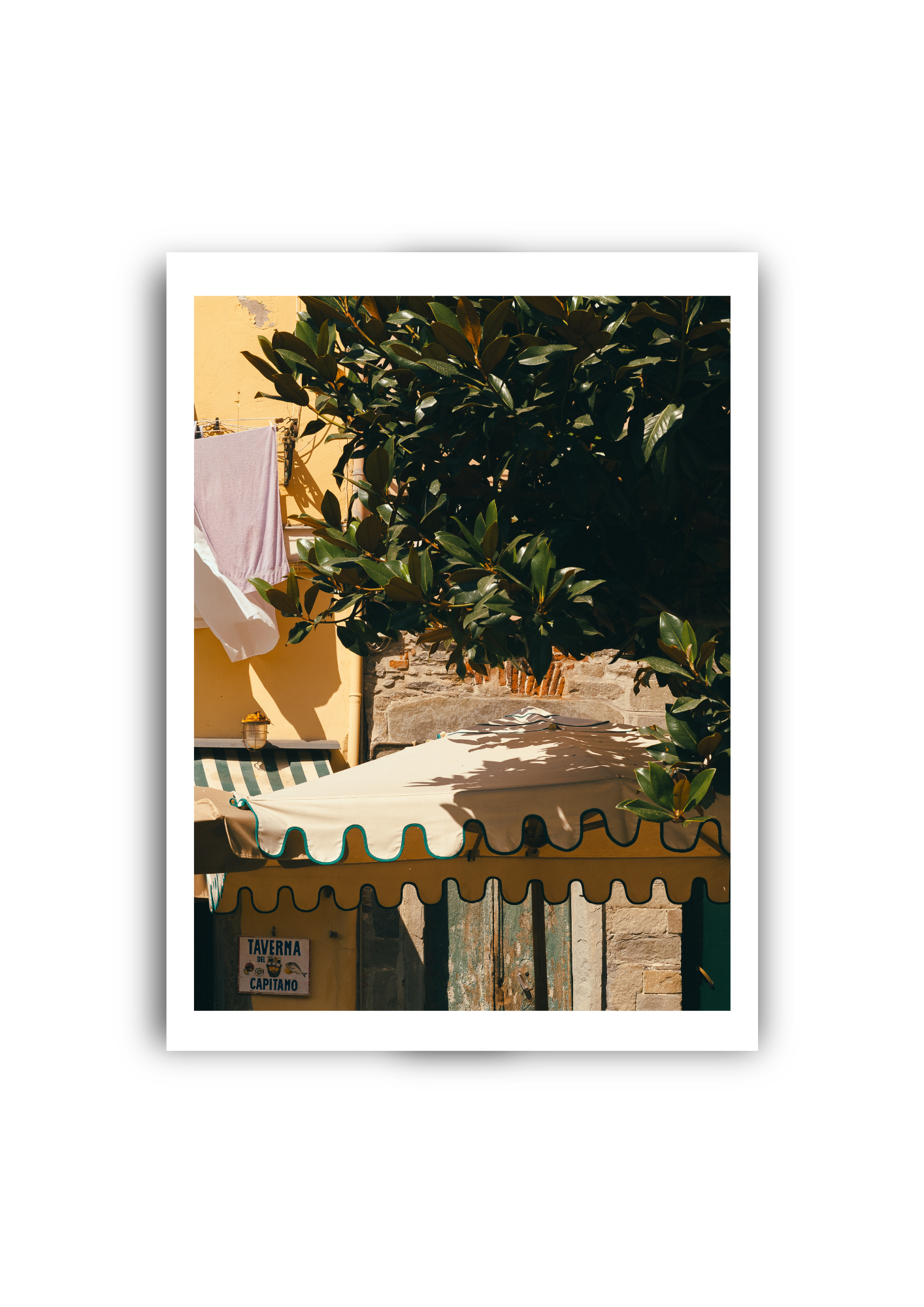 Lemon II