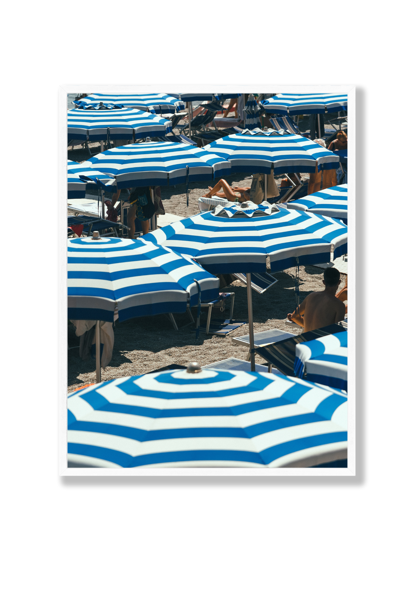 Umbrella VIII