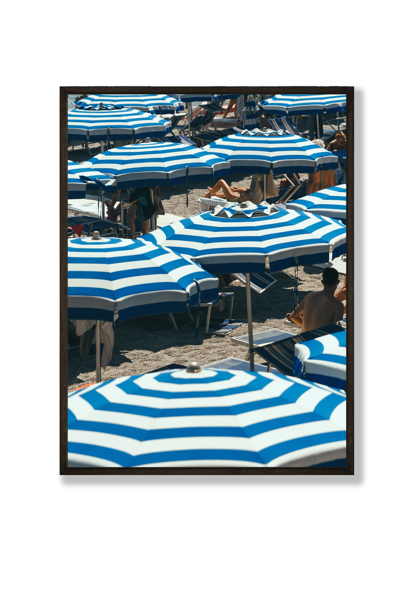 Umbrella VIII