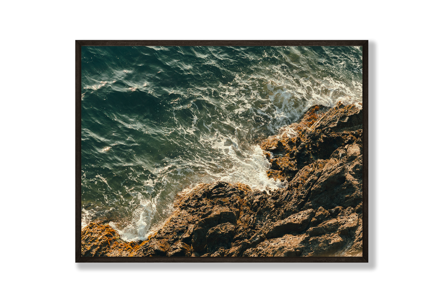 Oceano