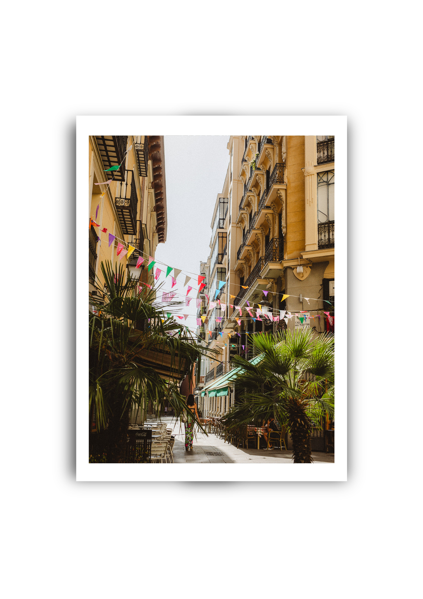 Calle Del Maestro