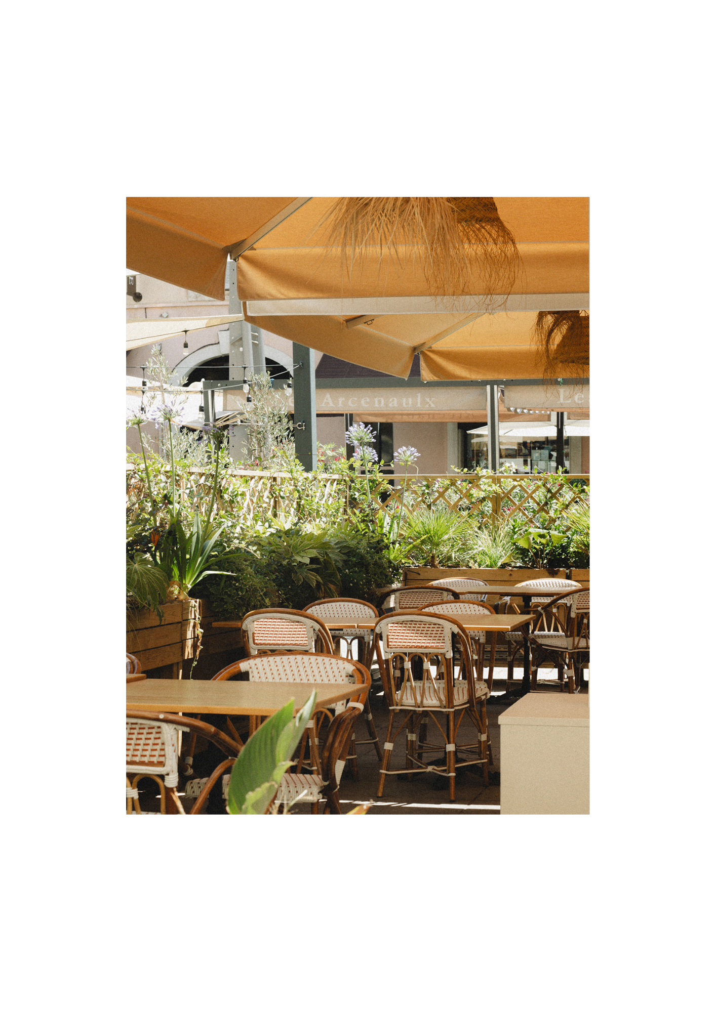Cafe