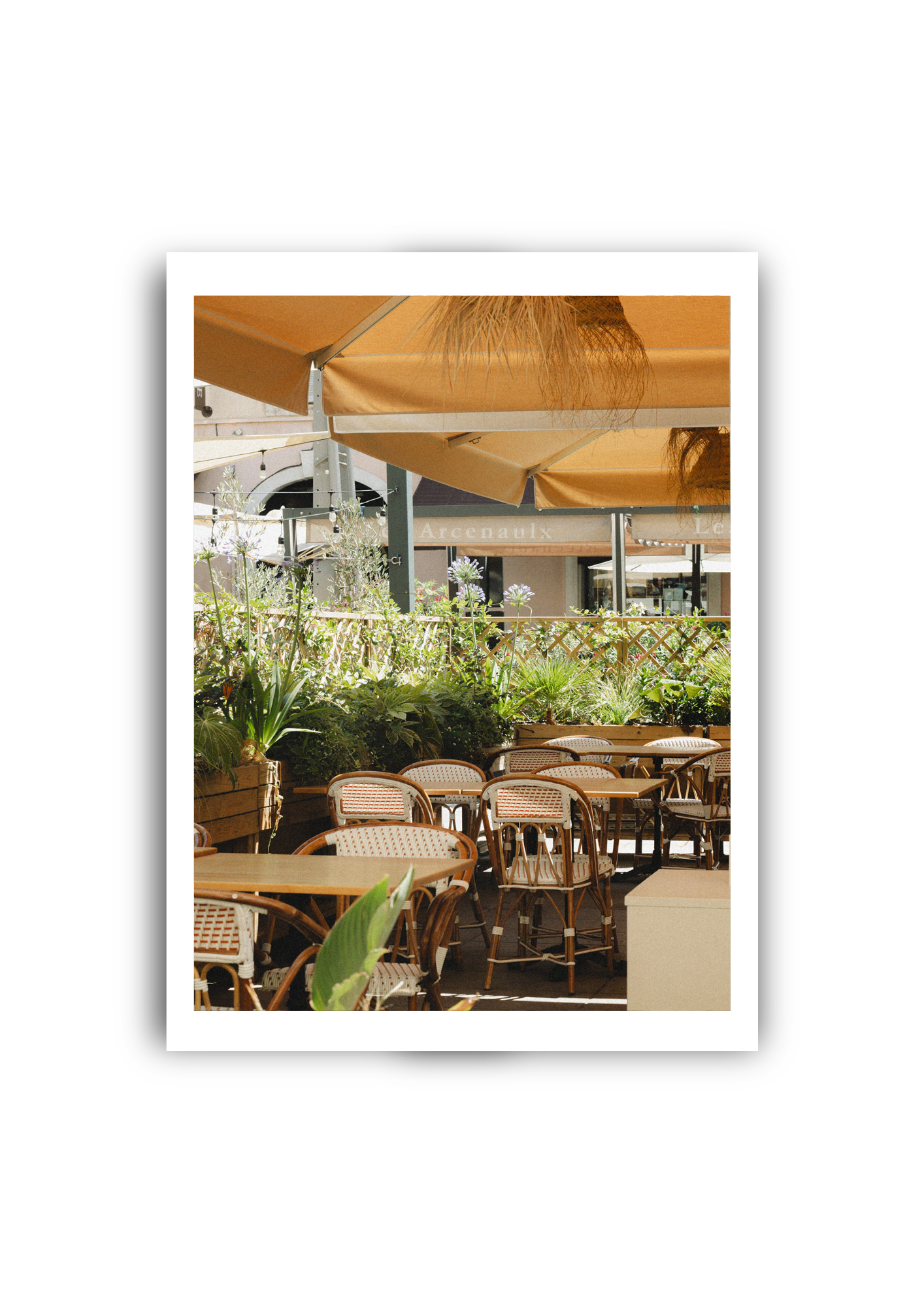Cafe