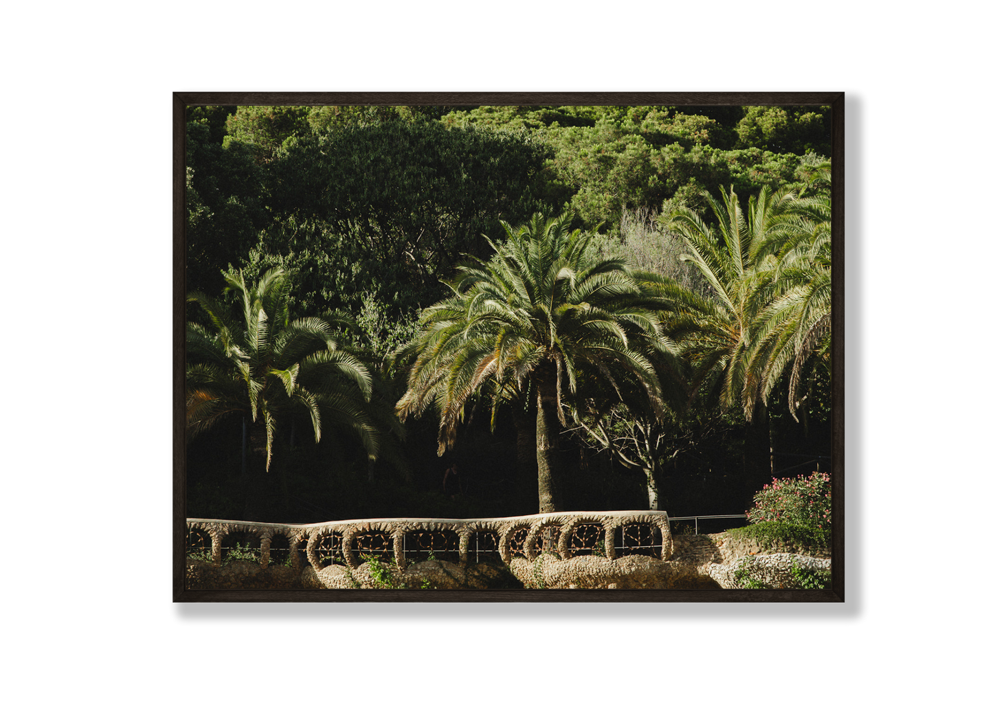 Park Guell II