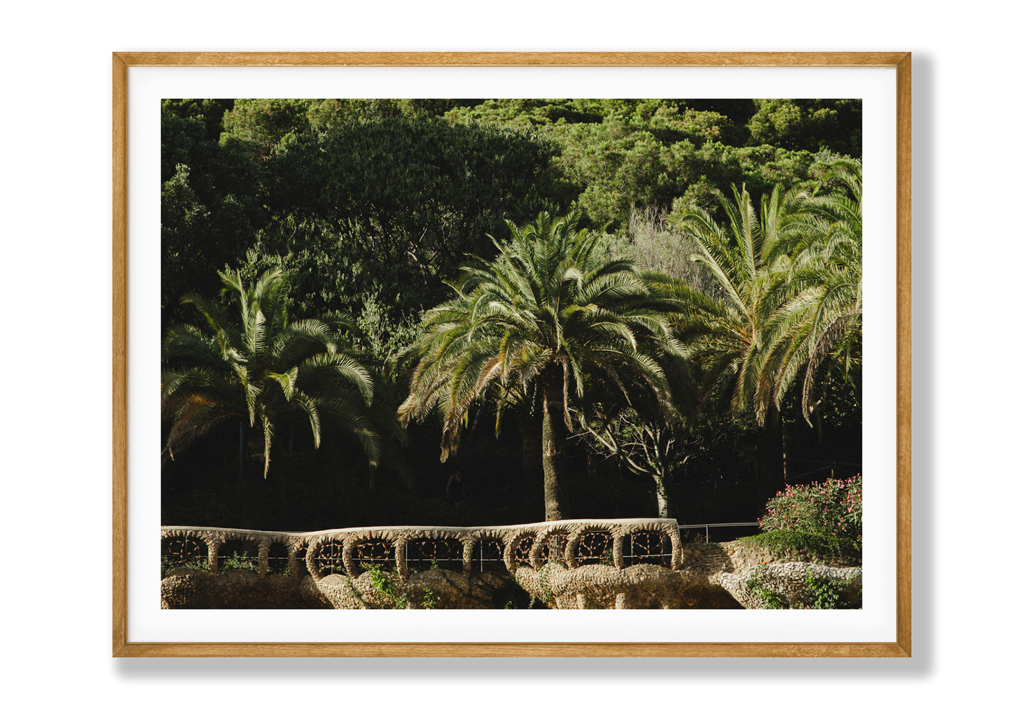 Park Guell II