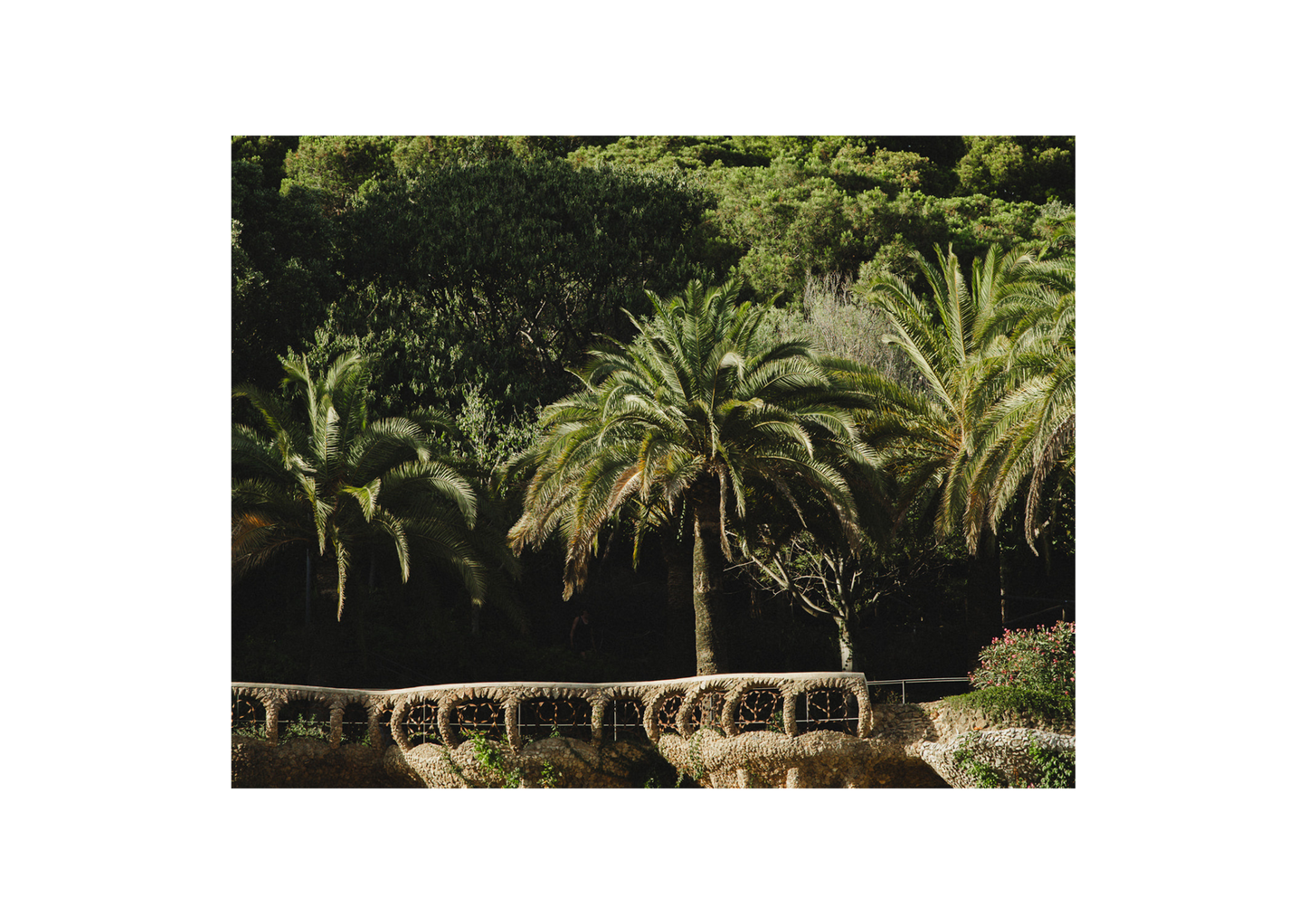 Park Guell II