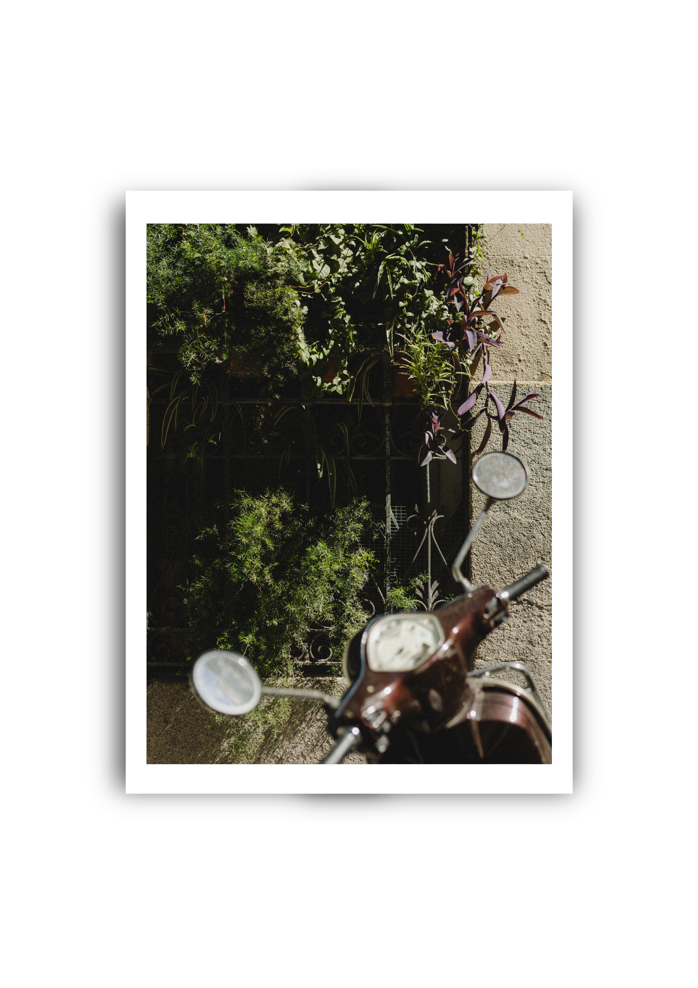 Plant Bike