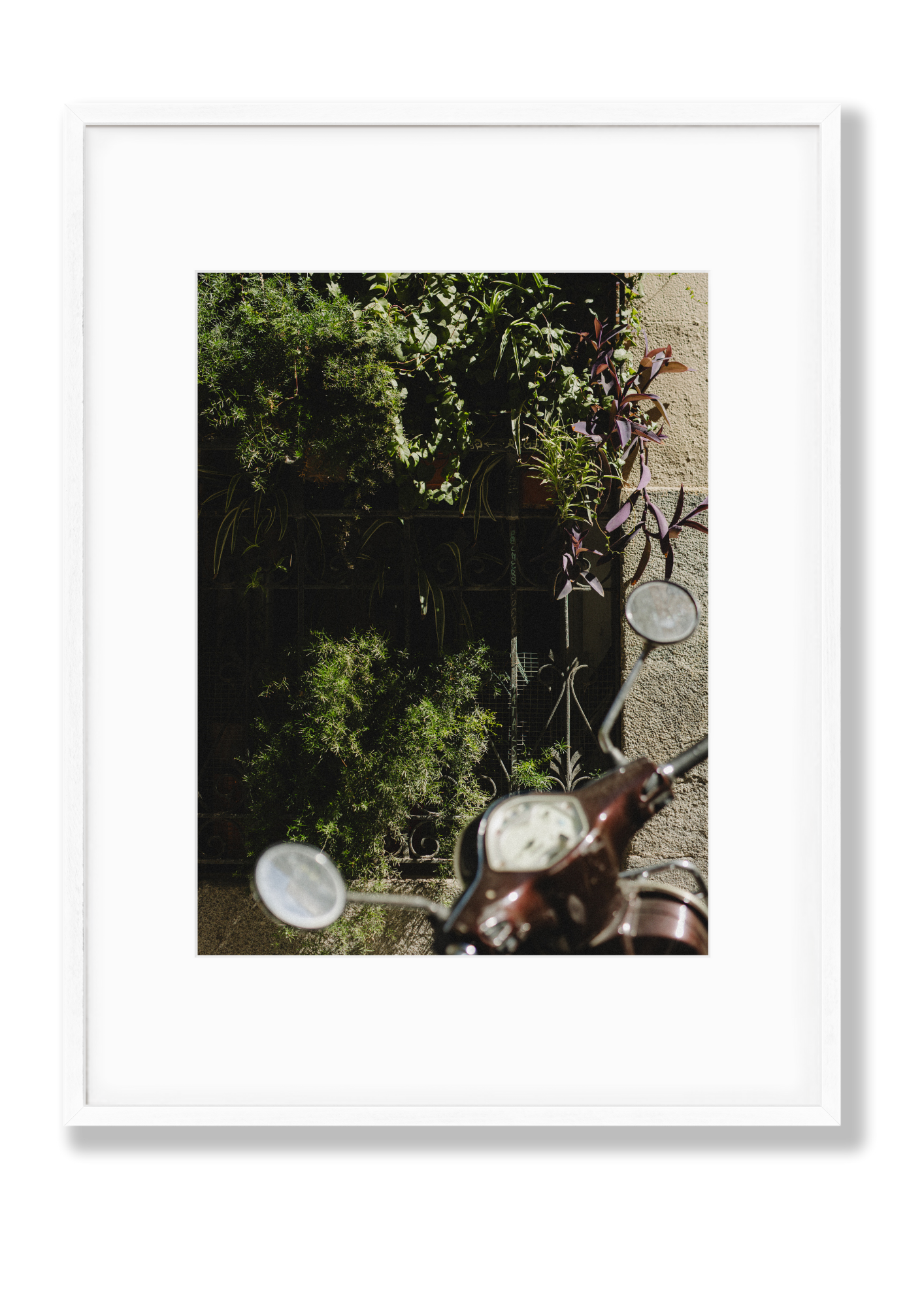 Plant Bike