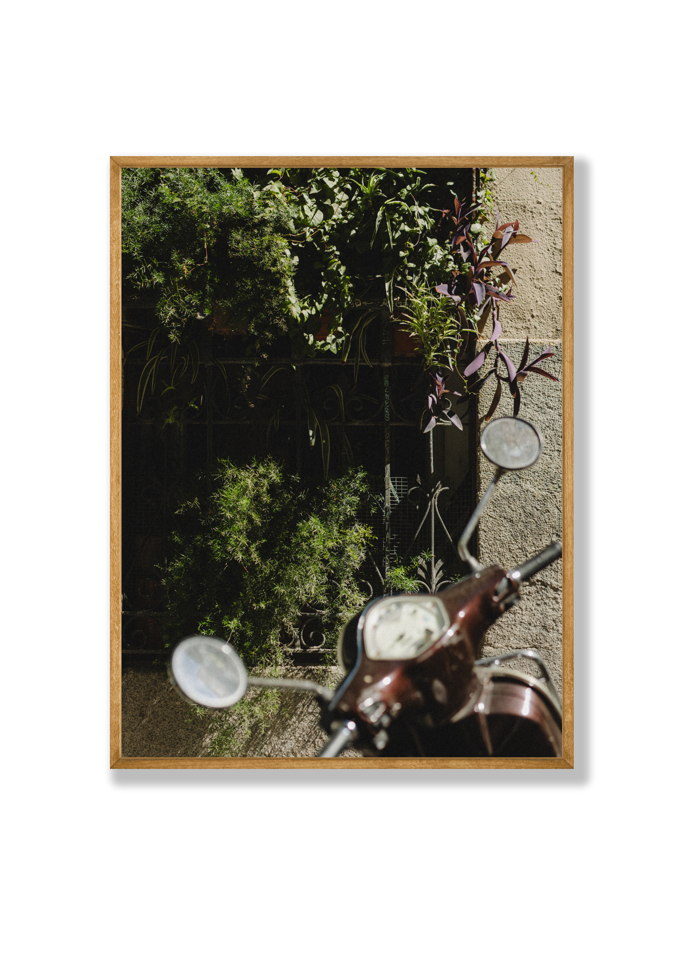 Plant Bike