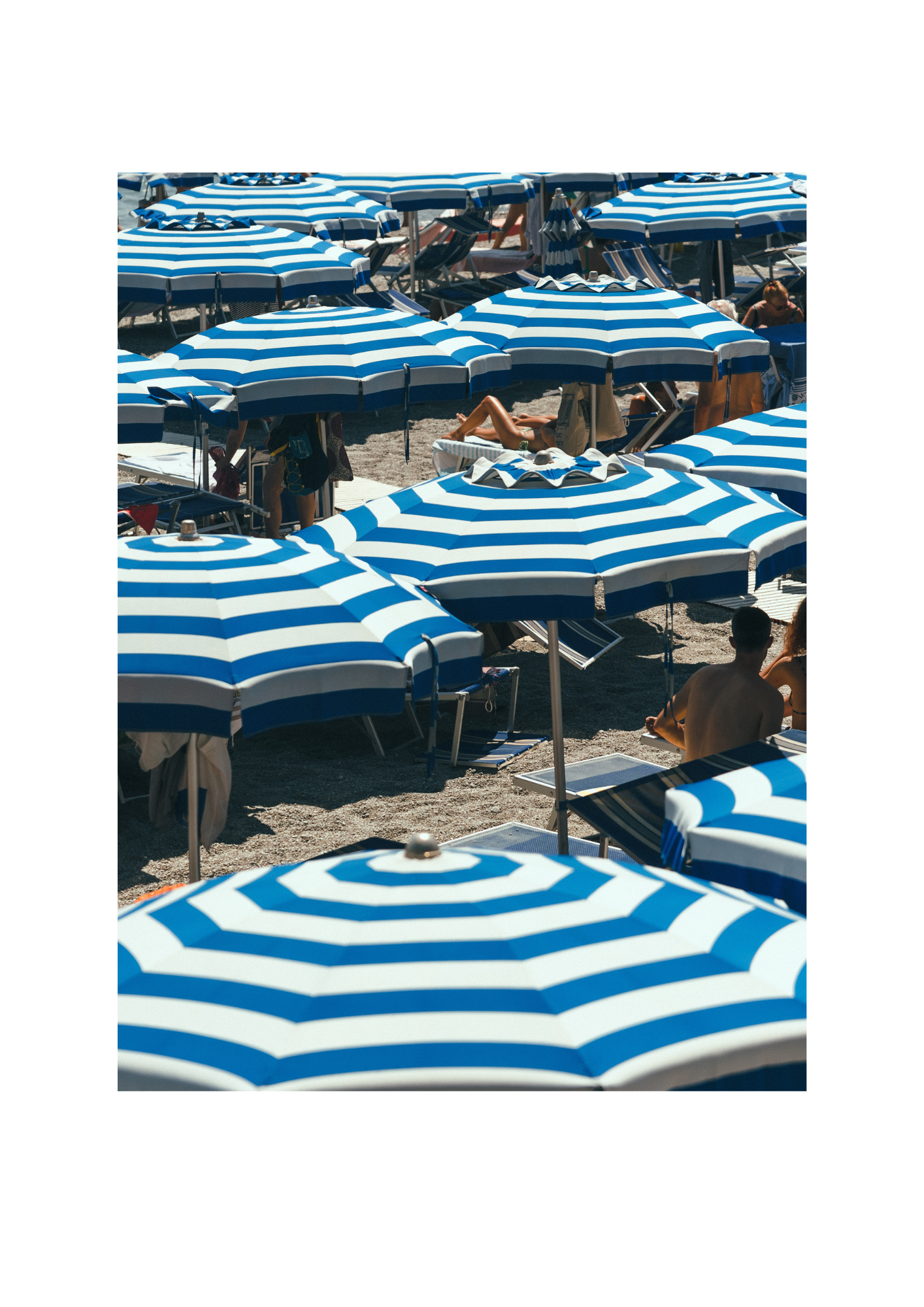 Umbrella VIII