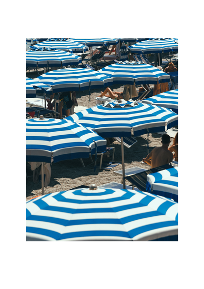 Umbrella VIII
