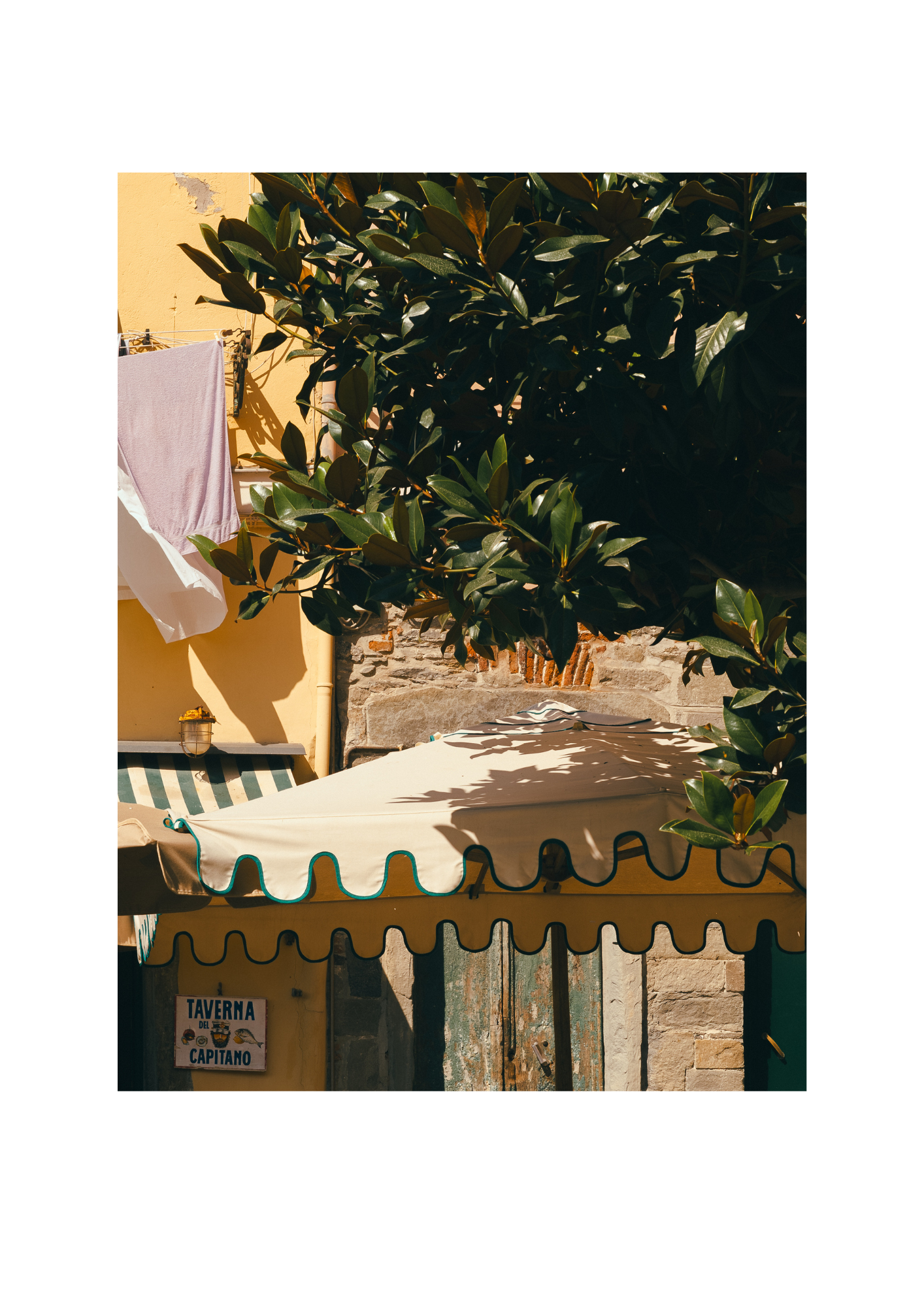 Lemon II