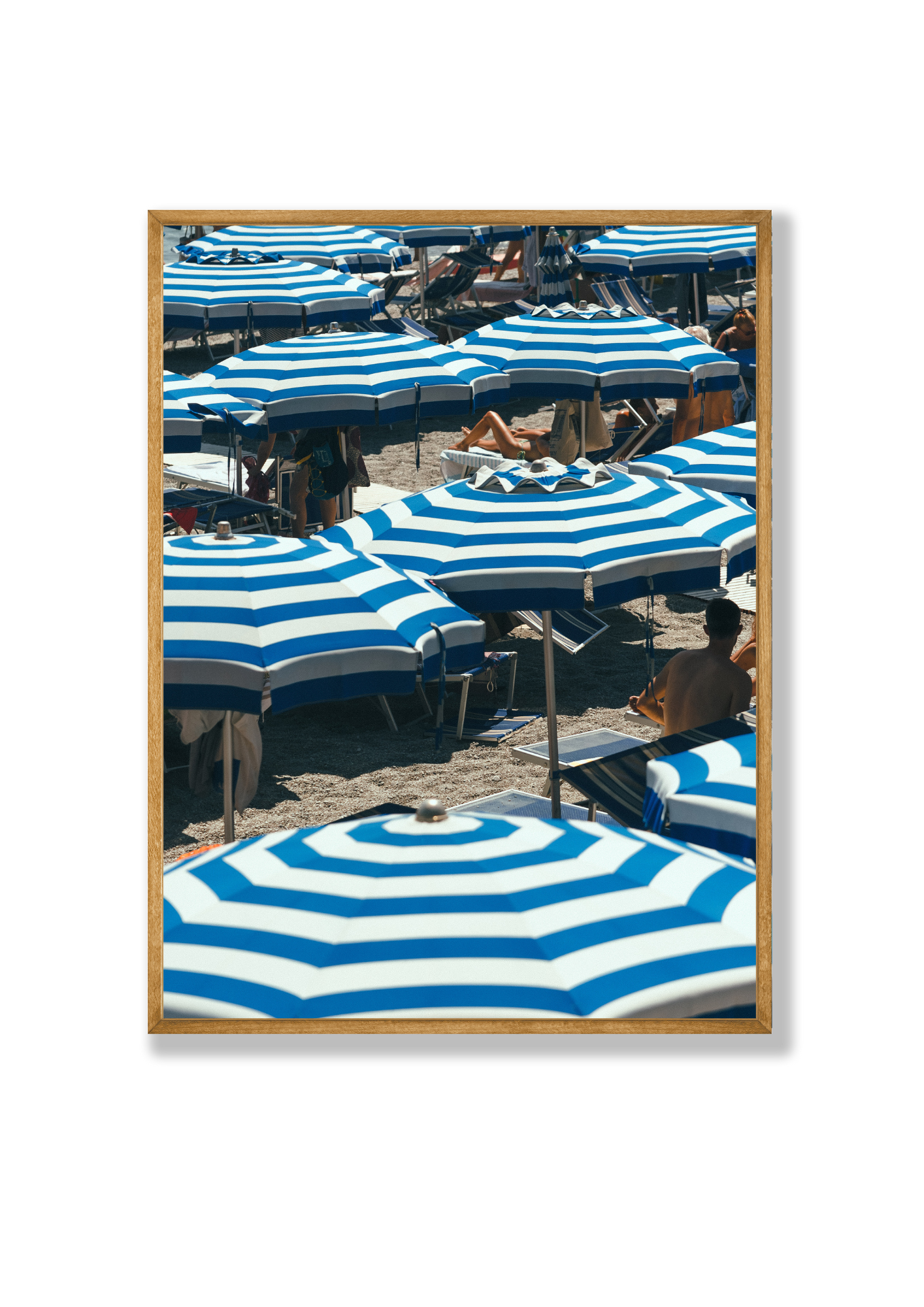 Umbrella VIII